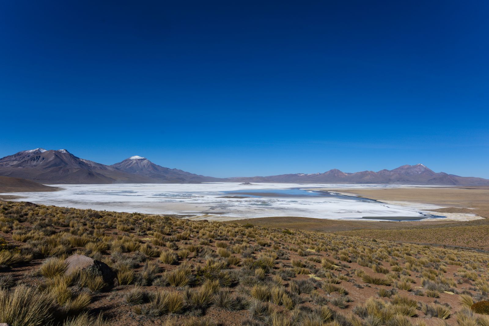 Salar de Surire visto desde un mirador